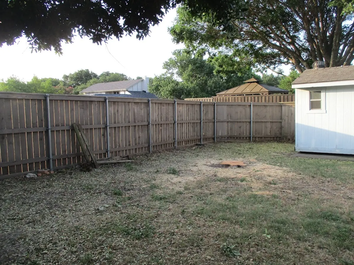 Cleared yard after professional tree removal in Knoxville